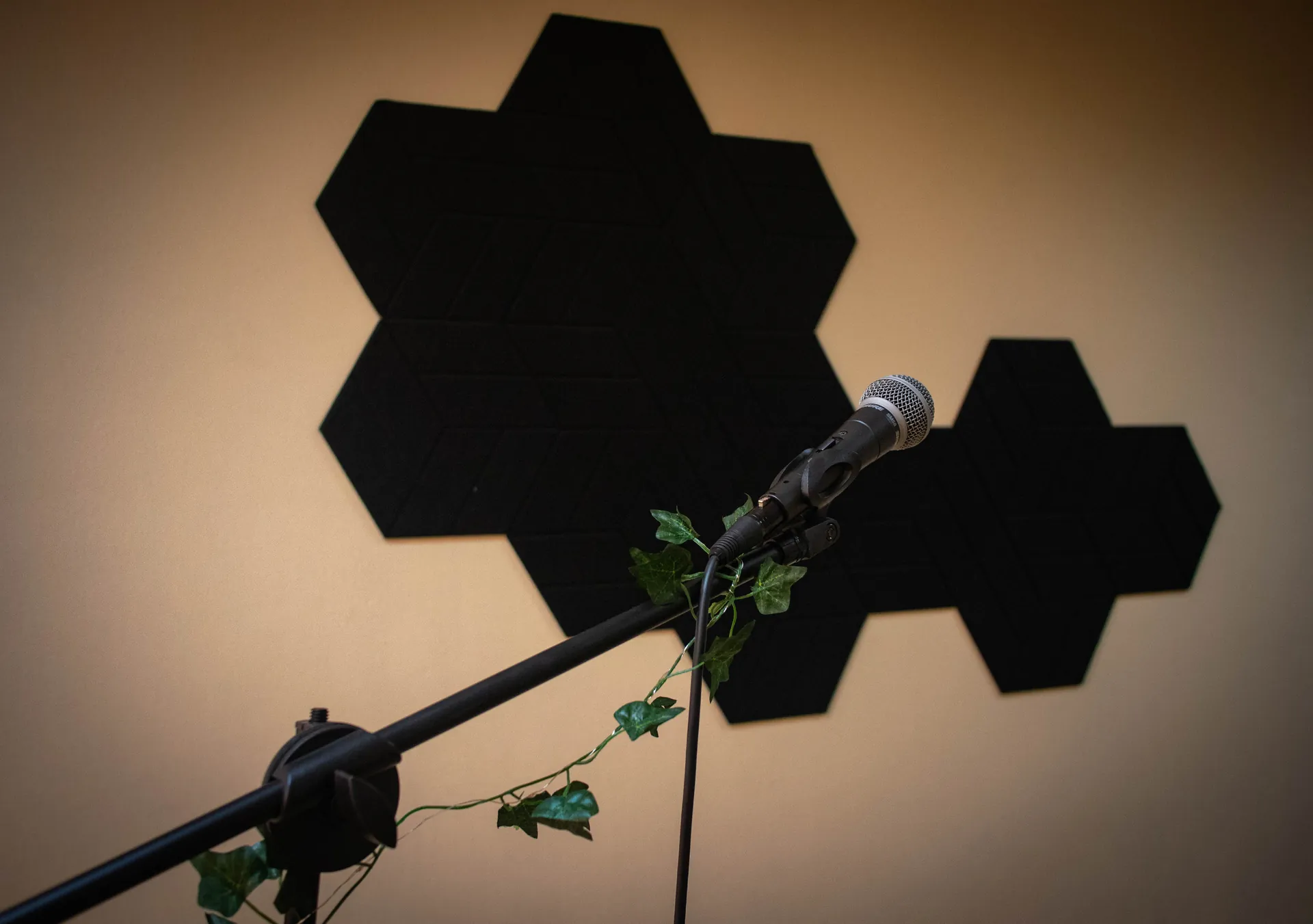 portfolio_page.portfolio_titles.project_musical_shool - Фотограф Олександра Бондаренко - Портфоліо - /98_client_files/project_musical_shool/0001.webp