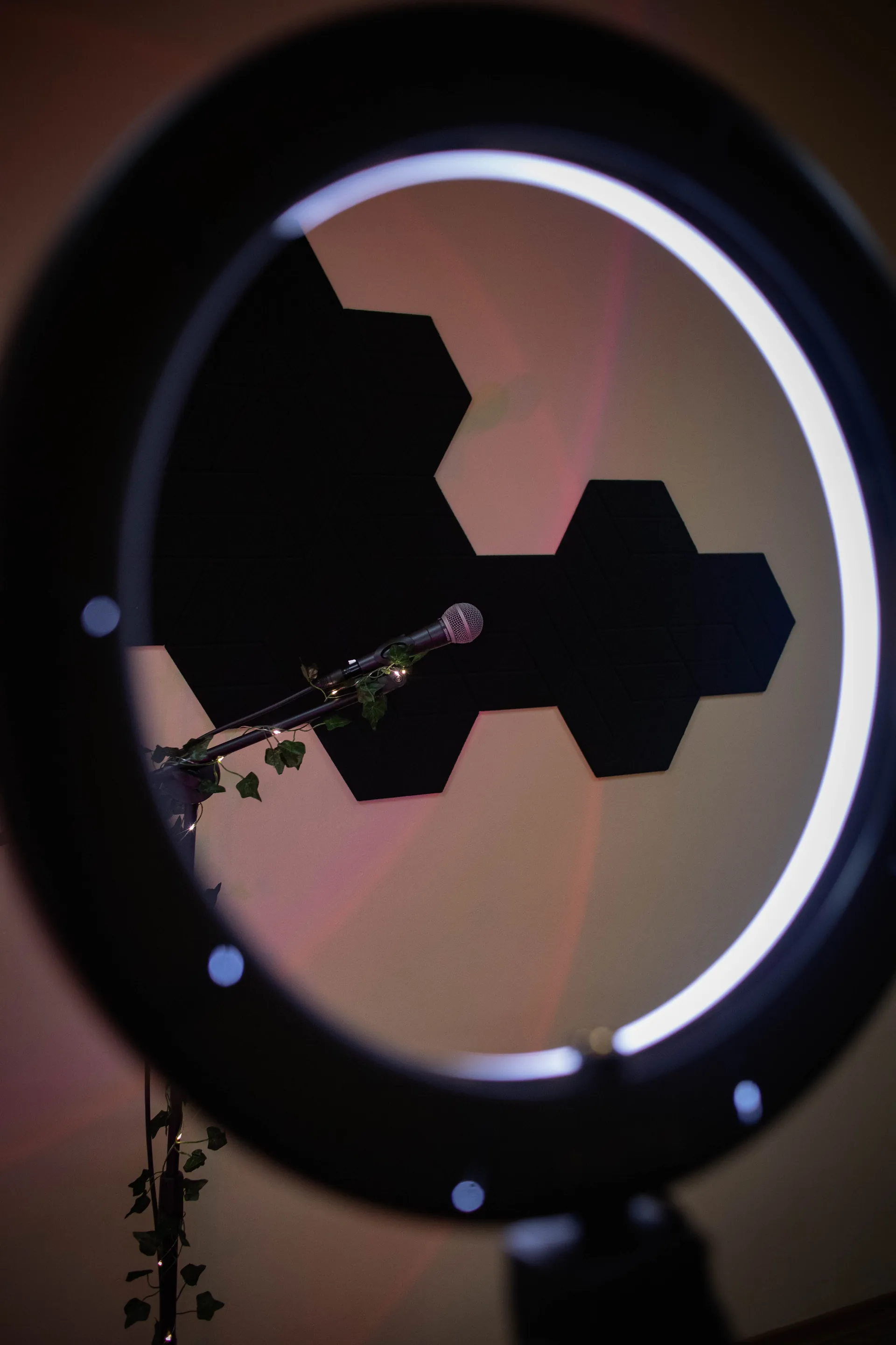 portfolio_page.portfolio_titles.project_musical_shool - Фотограф Олександра Бондаренко - Портфоліо - /98_client_files/project_musical_shool/0013.webp