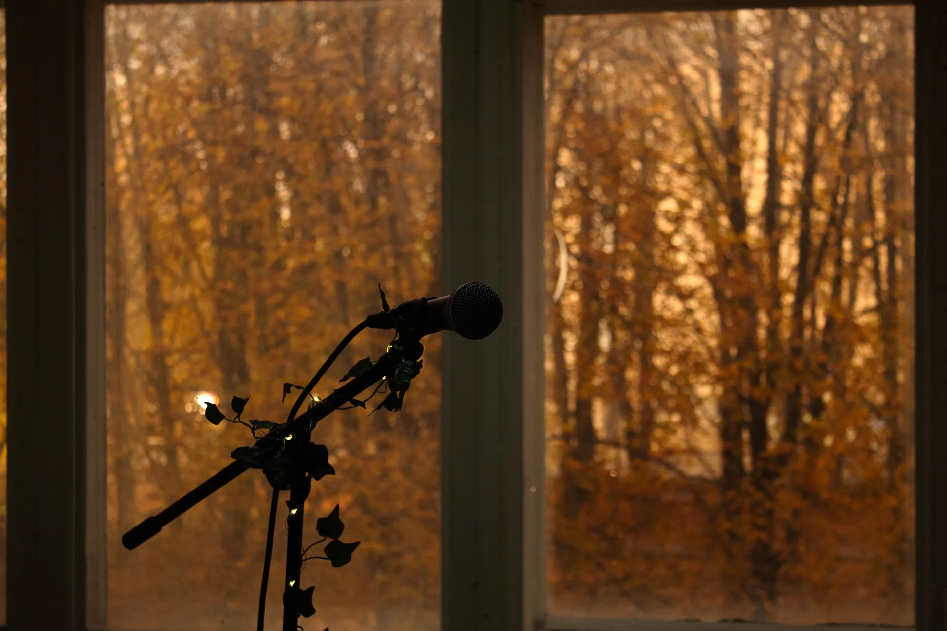 portfolio_page.portfolio_titles.project_musical_shool - Фотограф Олександра Бондаренко - Портфоліо - /98_client_files/project_musical_shool/0014.webp